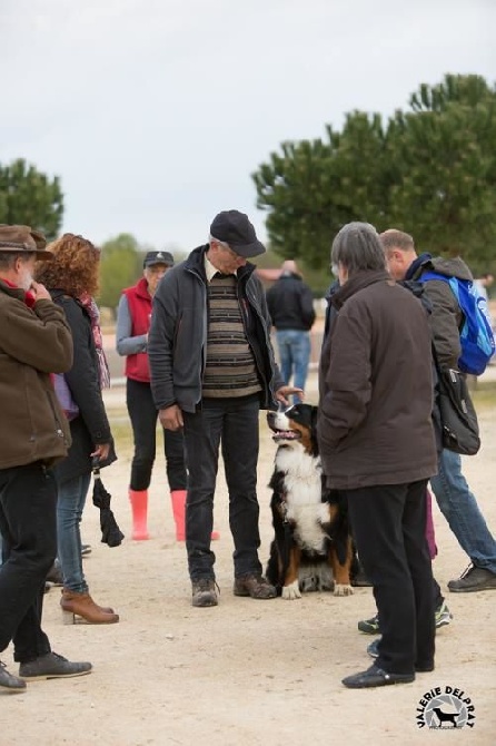 De la grange aux chênes - NE AFBS 2016